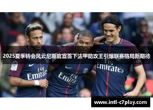 2025夏季转会风云尼斯官宣签下法甲助攻王引爆联赛格局新期待
